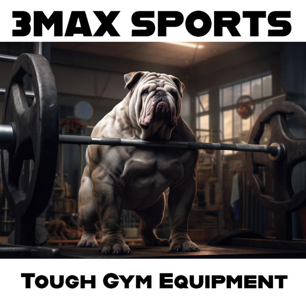 Logo-3Max-Sports